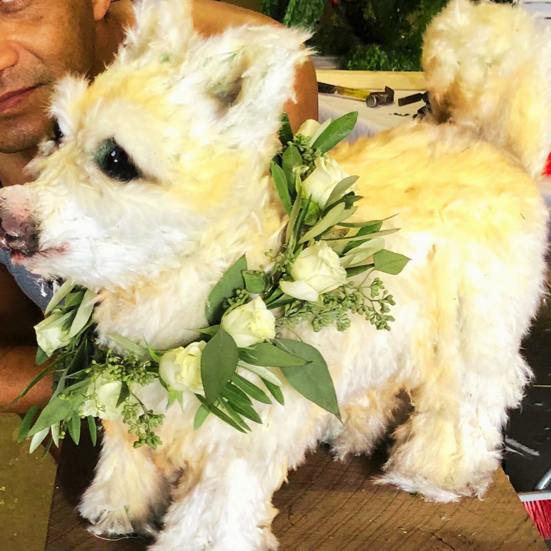 Flower Dogs
