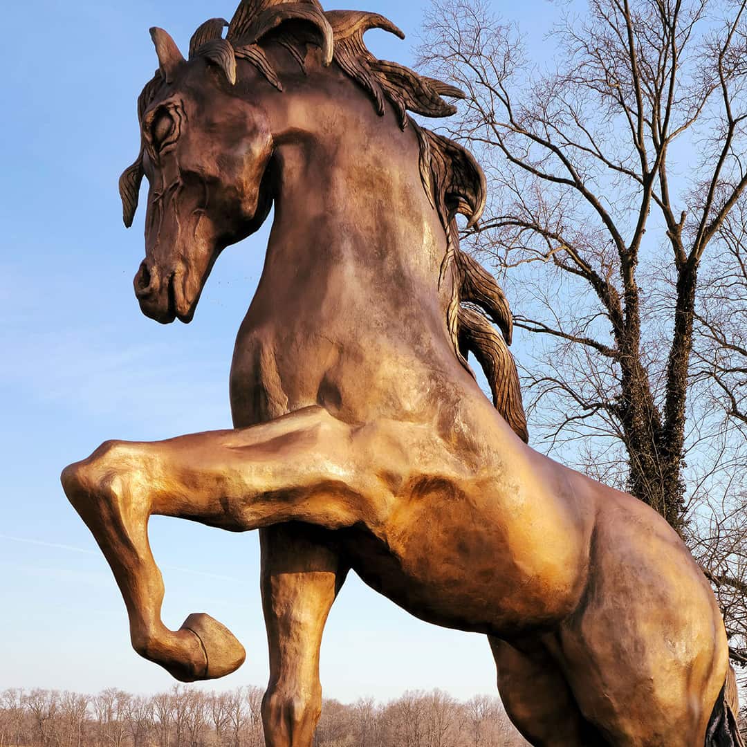 giant-horse-1x1-galley-hq-min